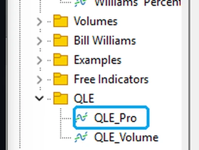 Le Navigateur de MetaTrader 5 avec le dossier QLE