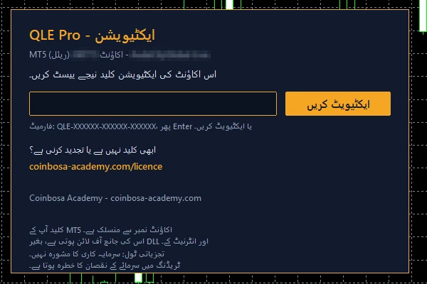 QLE Pro کی ایکٹیویشن اسکرین